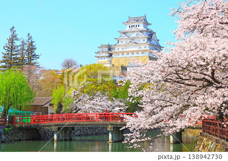 兵庫県姫路市、満開の桜と姫路城の風景 兵庫県姫路市、満開の桜と姫路城の風景 138942730