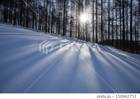 雪原の大地 雪原の大地 138942751
