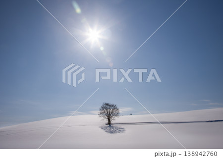 雪原の大地 138942760