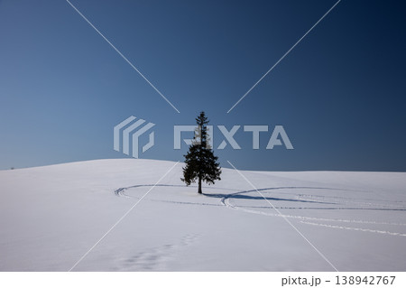 雪原の大地 138942767