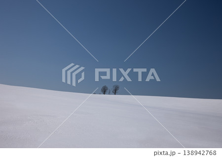 雪原の大地 138942768