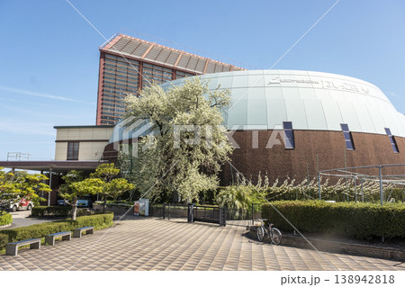 なしっこ館 に咲く二十世紀梨の花 倉吉市 なしっこ館 に咲く二十世紀梨の花 倉吉市 138942818