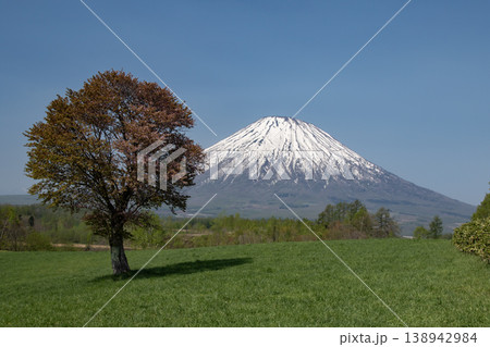 早春の羊蹄山 138942984