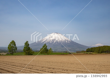 早春の羊蹄山 138942993