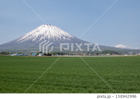早春の羊蹄山 早春の羊蹄山 138942996