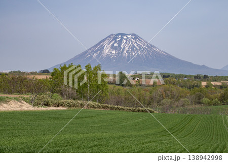 早春の羊蹄山 早春の羊蹄山 138942998