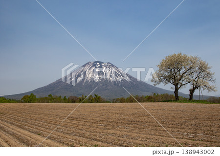 早春の羊蹄山 138943002