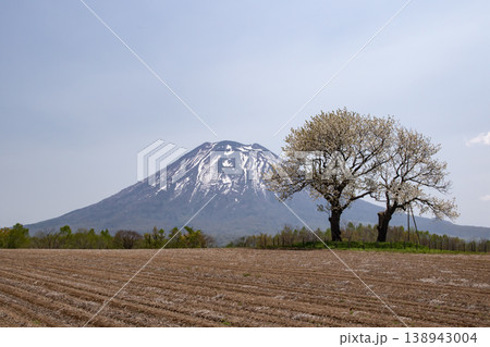 早春の羊蹄山 138943004