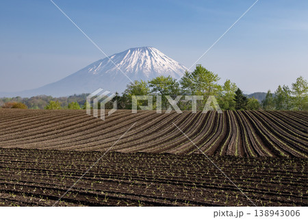 早春の羊蹄山 138943006