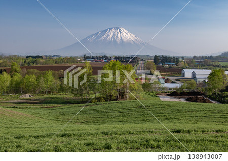 早春の羊蹄山 早春の羊蹄山 138943007