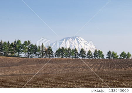 早春の羊蹄山 早春の羊蹄山 138943009