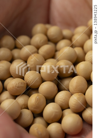 手のひらに乗せた大豆 138943225
