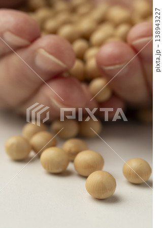 手のひらに乗せた大豆 手のひらに乗せた大豆 138943227