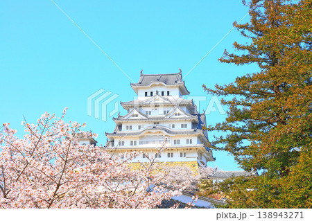 兵庫県姫路市、満開の桜と姫路城の風景 兵庫県姫路市、満開の桜と姫路城の風景 138943271