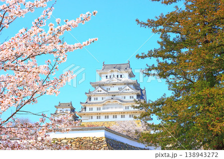 兵庫県姫路市、満開の桜と姫路城の風景 兵庫県姫路市、満開の桜と姫路城の風景 138943272