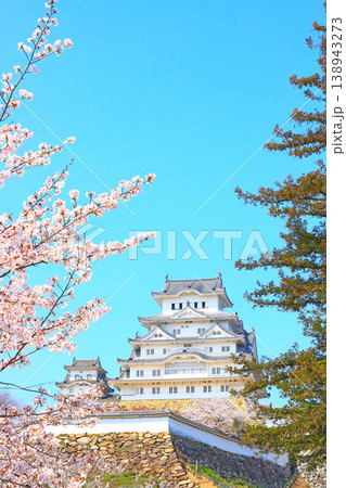 兵庫県姫路市、満開の桜と姫路城の風景 兵庫県姫路市、満開の桜と姫路城の風景 138943273