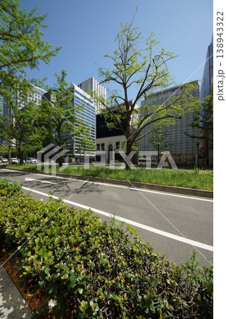 新緑の御堂筋街並み 138943322