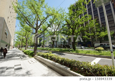 新緑の御堂筋街並み 138943339