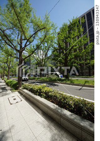 新緑の御堂筋街並み 138943347
