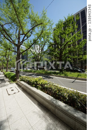 新緑の御堂筋街並み 138943348