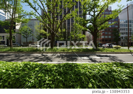 新緑の御堂筋街並み 138943353