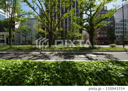 新緑の御堂筋街並み 新緑の御堂筋街並み 138943354