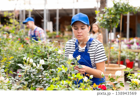 Female garden store employee examining potted rose bushes Female garden store employee examining potted rose bushes 138943569