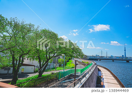 初夏の青空の広がる東京葛飾の中川の風景 138944469