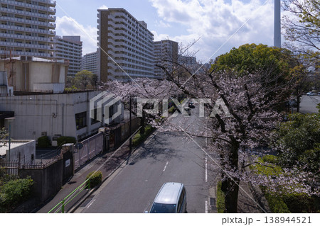 練馬区光が丘公園周辺・7分咲きのソメイヨシノ 練馬区光が丘公園周辺・7分咲きのソメイヨシノ 138944521