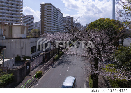 練馬区光が丘公園周辺・7分咲きのソメイヨシノ 138944522