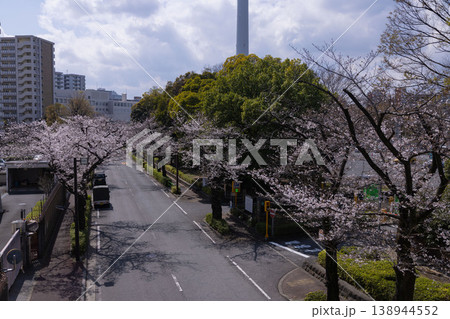 練馬区光が丘公園周辺・7分咲きのソメイヨシノ 練馬区光が丘公園周辺・7分咲きのソメイヨシノ 138944552