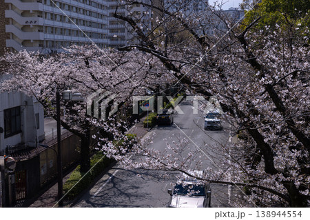 練馬区光が丘公園周辺・7分咲きのソメイヨシノ 練馬区光が丘公園周辺・7分咲きのソメイヨシノ 138944554