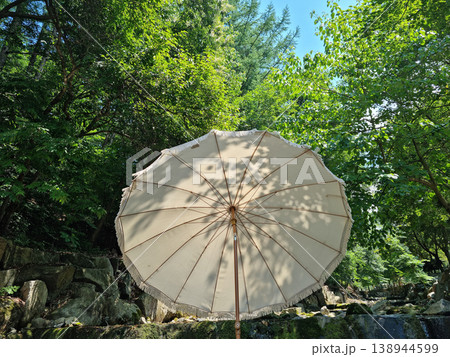 A parasol in a dense forest A parasol in a dense forest 138944599
