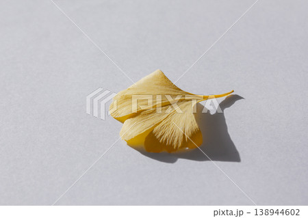 These are ginkgo leaves that have turned yellow. These are ginkgo leaves that have turned yellow. 138944602