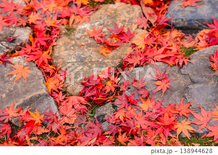 Autumn Maple Leaves Scatter Across Weathered Stone Pathway Nov 26 2025 Autumn Maple Leaves Scatter Across Weathered Stone Pathway Nov 26 2025 138944628