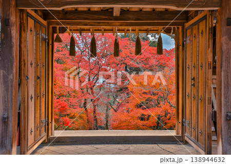 Open Wooden Gate Framing Autumn Red Maple Trees Nov 26 2025 Open Wooden Gate Framing Autumn Red Maple Trees Nov 26 2025 138944632