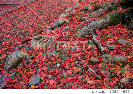 Scenic Maple Boardwalk at Bishamon do Temple Kyoto Nov 26 2025 Scenic Maple Boardwalk at Bishamon do Temple Kyoto Nov 26 2025 138944647