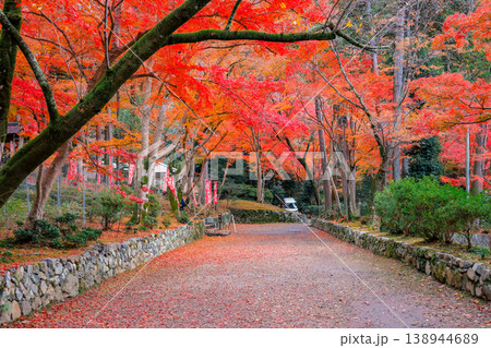Scenic Maple Boardwalk at Bishamon do Temple Kyoto Nov 26 2025 Scenic Maple Boardwalk at Bishamon do Temple Kyoto Nov 26 2025 138944689