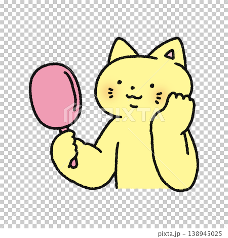鏡をみるかわいいネコ 鏡をみるかわいいネコ 138945025