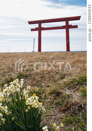鹿島神宮の一之鳥居 鹿島神宮の一之鳥居 138945033
