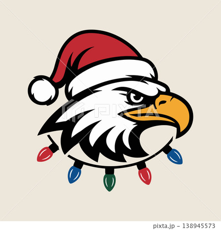 Eagle Head with Santa Hat Illustration 138945573