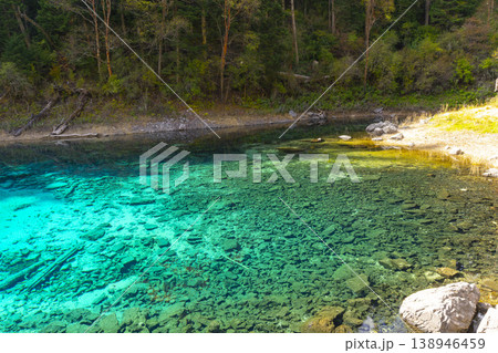 Fantastic view of the Five Colored Pool (the Colorful Pond) with azure crystal clear water among fall woods and evergreen forest in Jiuzhai Valley National Park in China. Fantastic view of the Five Colored Pool (the Colorful Pond) with azure crystal clear water among fall woods and evergreen forest in Jiuzhai Valley National Park in China. 138946459