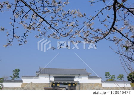 春の元離宮二条城の東大手門 春の元離宮二条城の東大手門 138946477