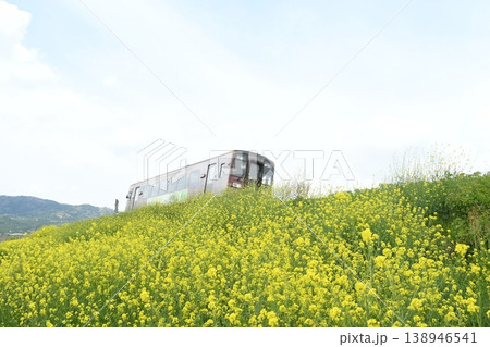 黄色の春風に乗って 138946541