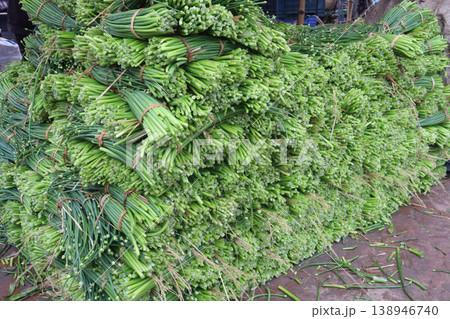 onion leaf bundle on shop for sell, harvest are cash crops 138946740