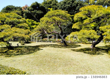 春の伊勢神宮 春の伊勢神宮 138946863