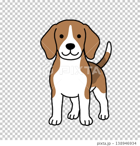 立ち姿のビーグルのイラスト 138946934