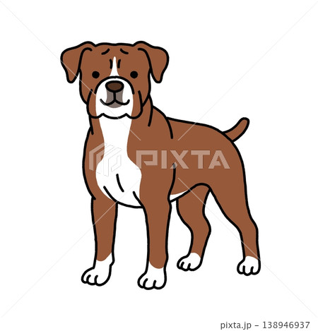凛々しいボクサー犬のイラスト 138946937