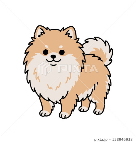 立ち姿のポメラニアンのイラスト 138946938