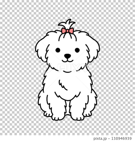 お座りするマルチーズのイラスト 138946939